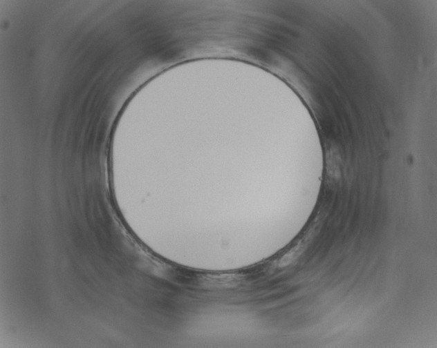 X0000073701150200608171106