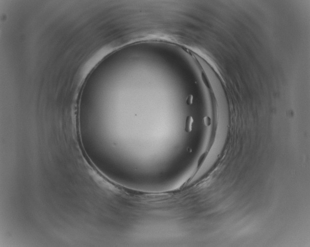 X0000073701151200608171106