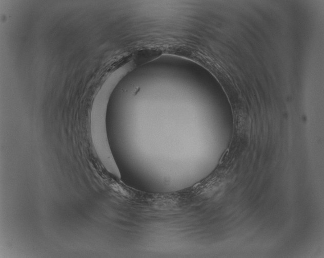 X0000073701153200608171106