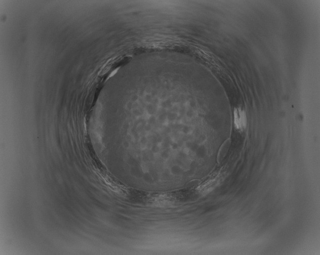 X0000073701155200608171106