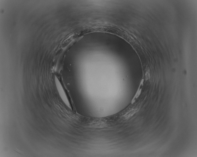 X0000073701156200608171106