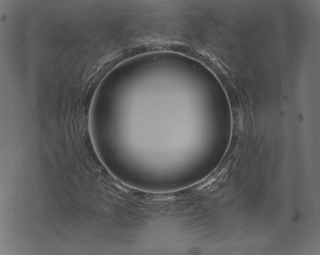 X0000073701157200608171106