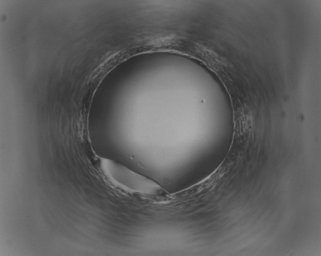 X0000073701158200608171106