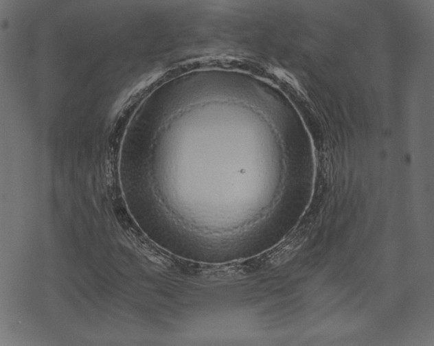 X0000073701159200608171106