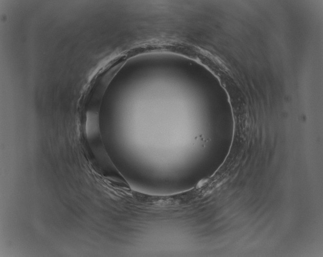 X0000073701160200608171106