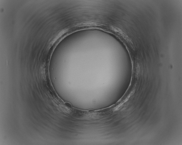 X0000073701162200608171106