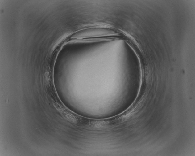 X0000073701163200608171106