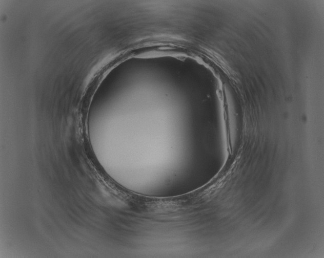 X0000073701164200608171106