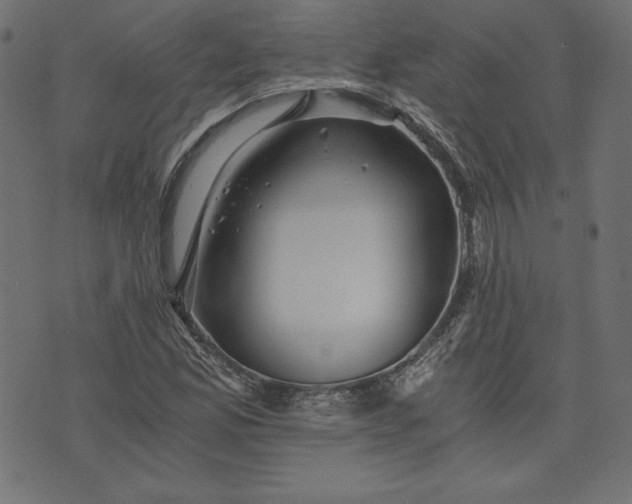 X0000073701165200608171106