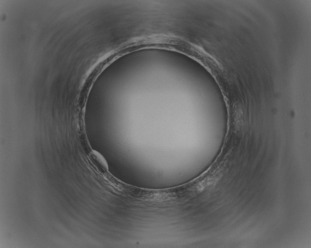 X0000073701166200608171106