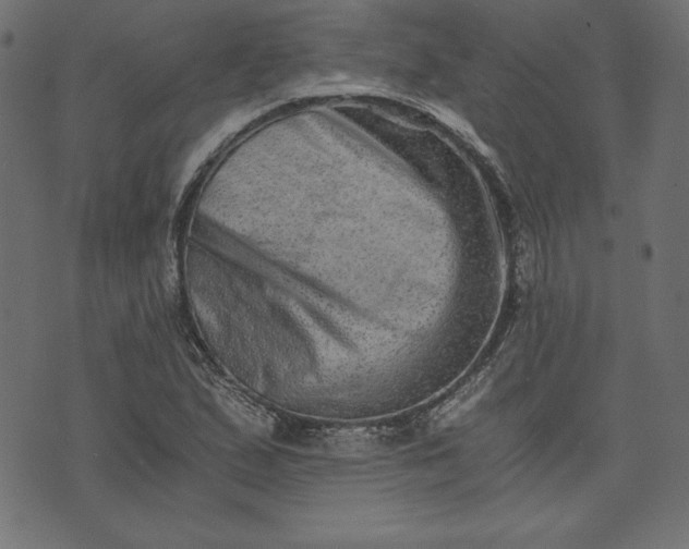 X0000073701167200608171105