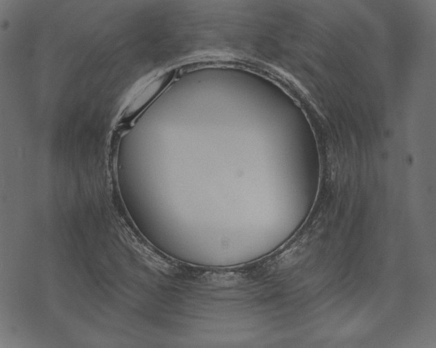 X0000073701168200608171105