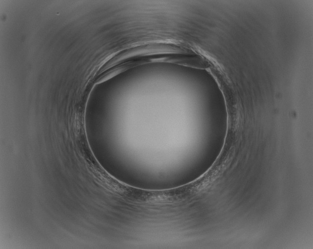 X0000073701169200608171105