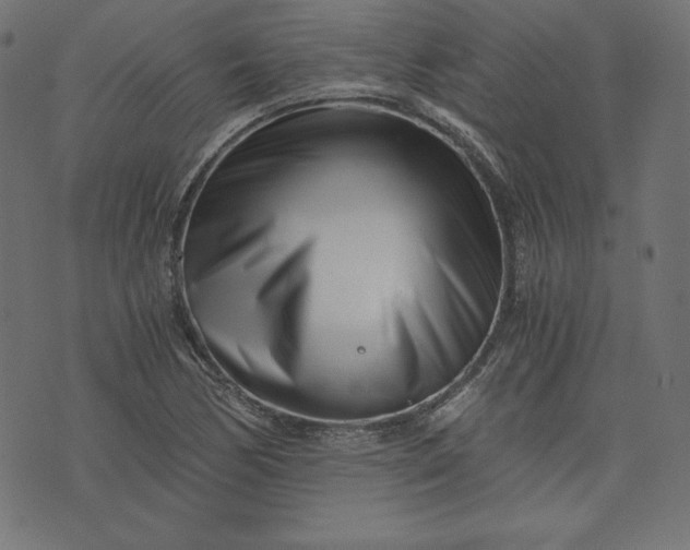 X0000073701170200608171105