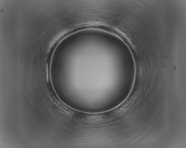 X0000073701171200608171105