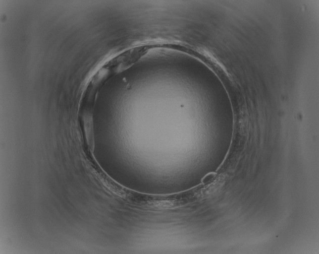 X0000073701173200608171105