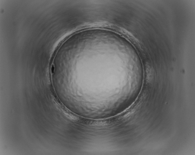 X0000073701174200608171105