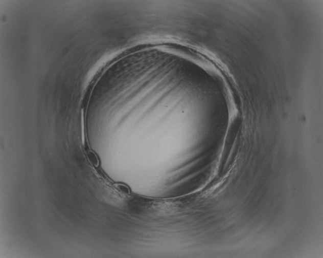 X0000073701175200608171105