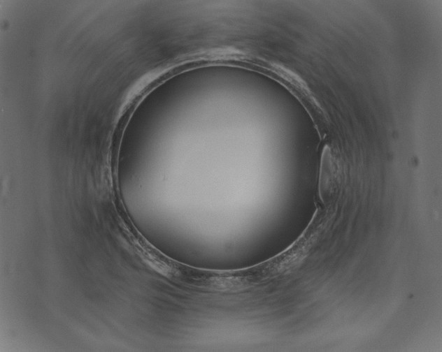 X0000073701176200608171105