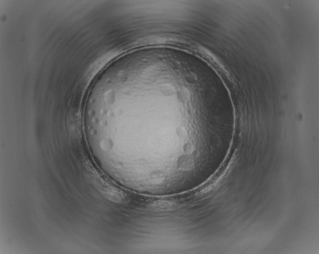 X0000073701178200608171105