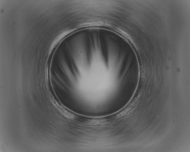 X0000073701179200608171105