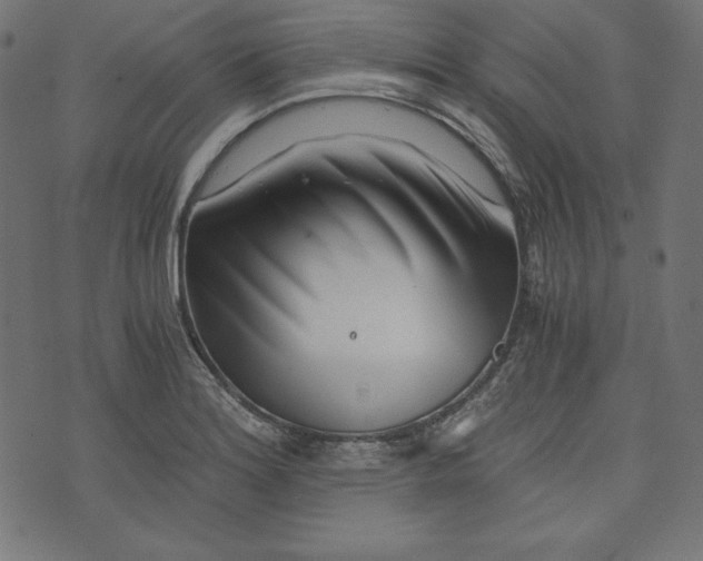 X0000073701180200608171105