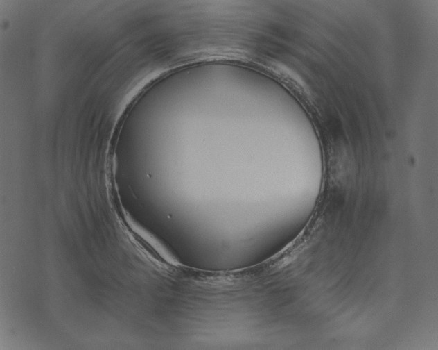 X0000073701182200608171105