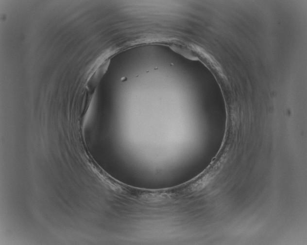 X0000073701185200608171105