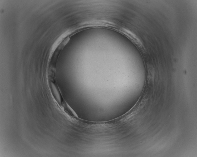 X0000073701188200608171105