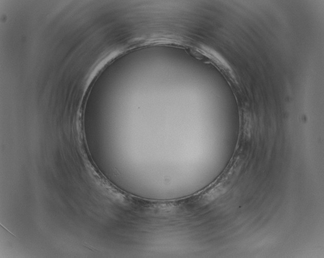 X0000073701190200608171105