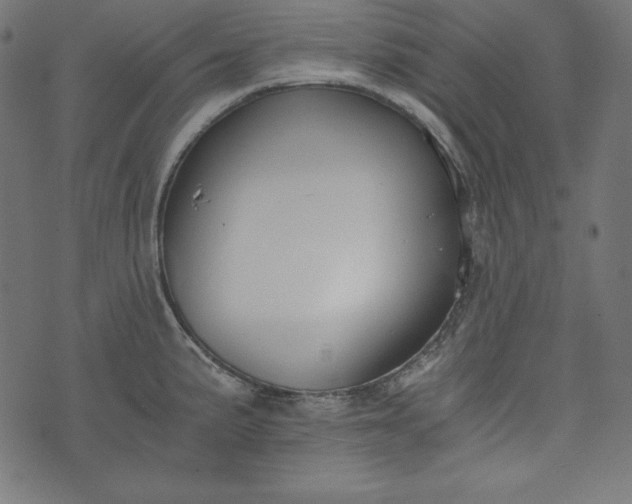 X0000073701191200608171105