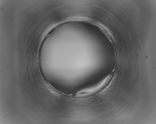 X0000073701192200608171105