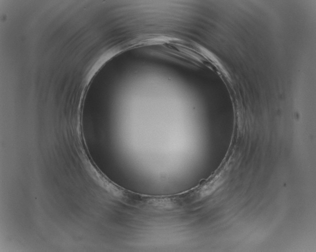 X0000073701194200608171105