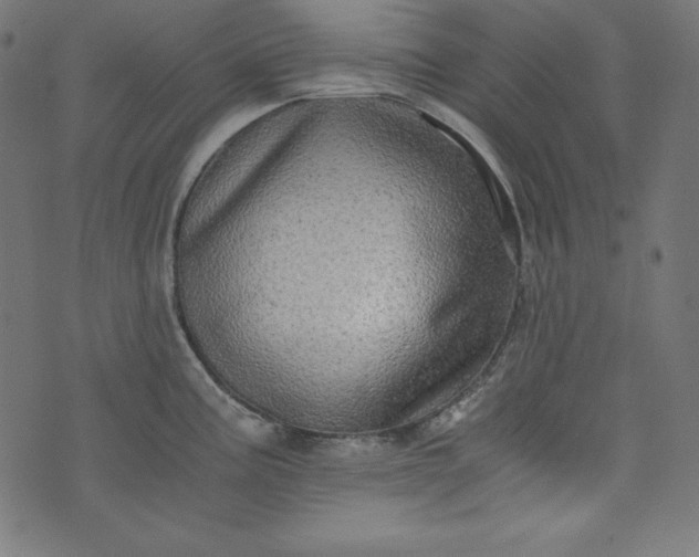 X0000073701195200608171105