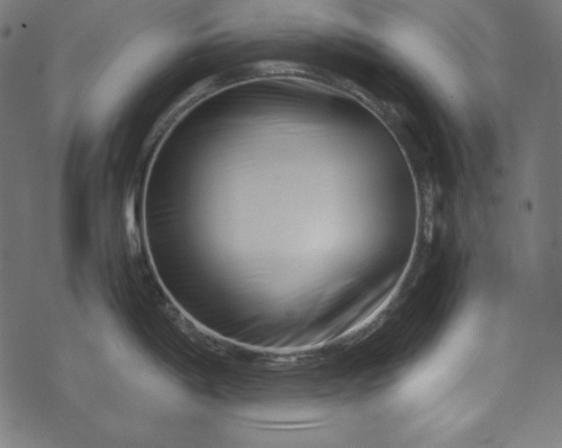 X0000073701198200608171105