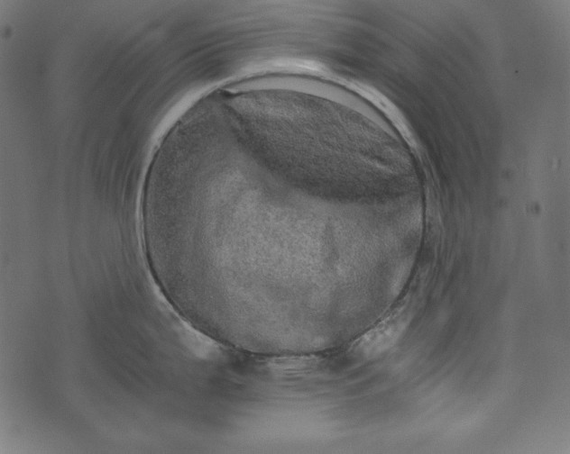 X0000073701199200608171105