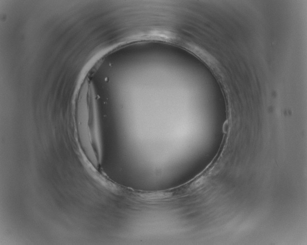 X0000073701200200608171105