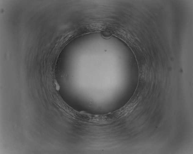 X0000073701201200608171104