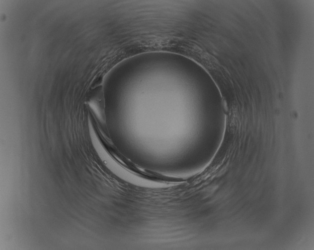 X0000073701202200608171104