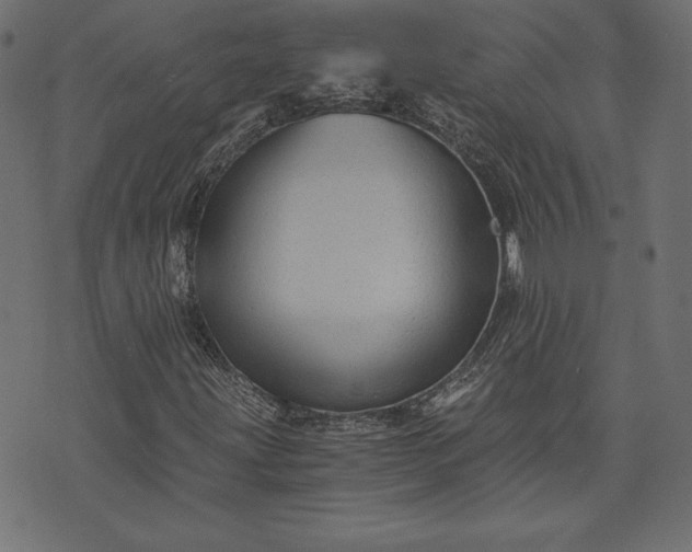 X0000073701203200608171104