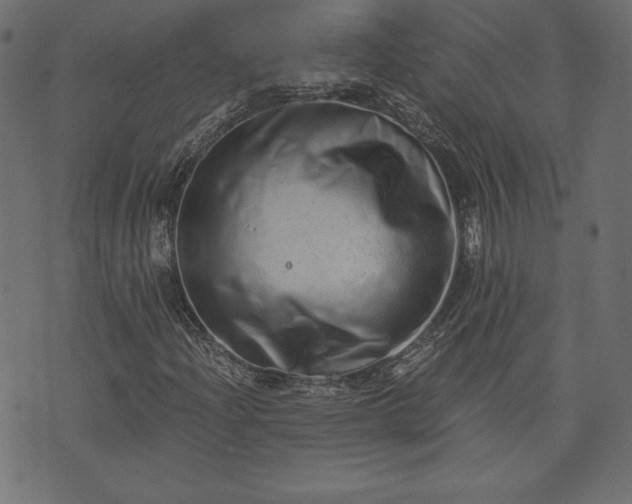 X0000073701204200608171104