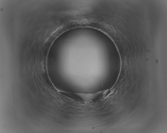 X0000073701205200608171104