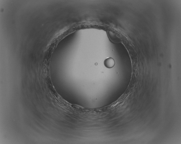 X0000073701207200608171104