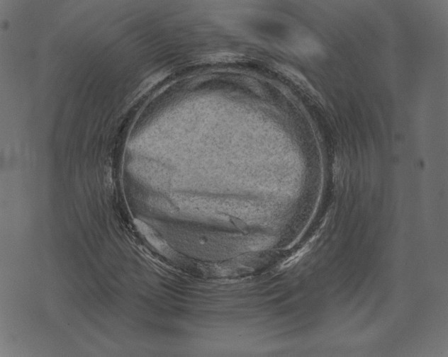 X0000073701209200608171104