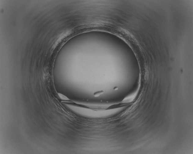 X0000073701210200608171104