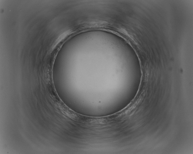 X0000073701211200608171104