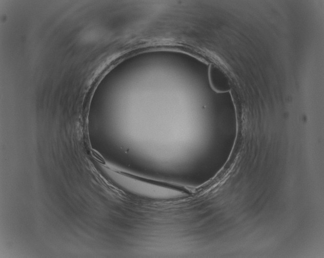 X0000073701212200608171104