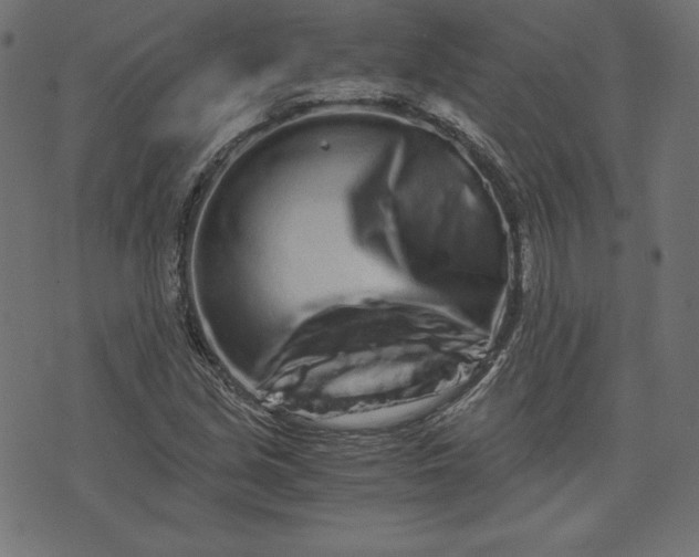 X0000073701213200608171104