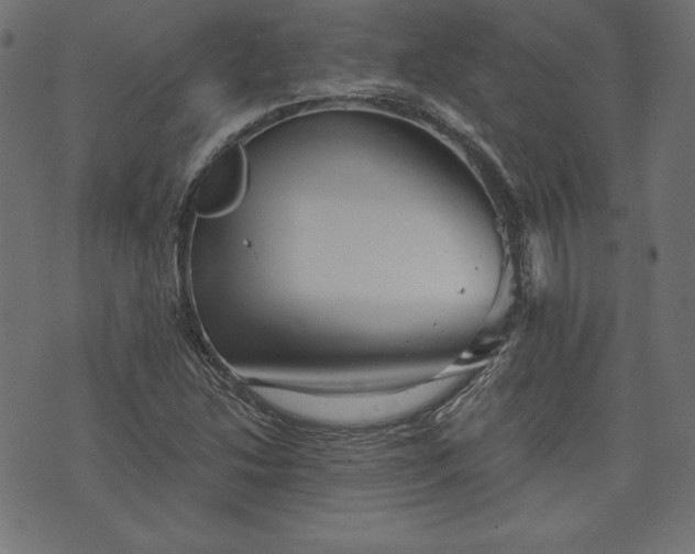 X0000073701214200608171104