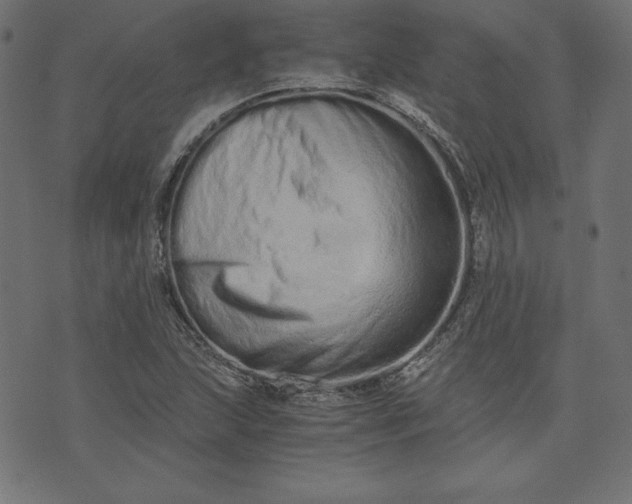 X0000073701215200608171104